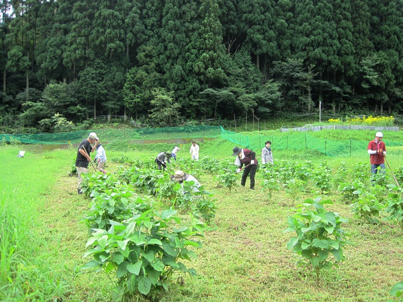 屋住地区活動その1