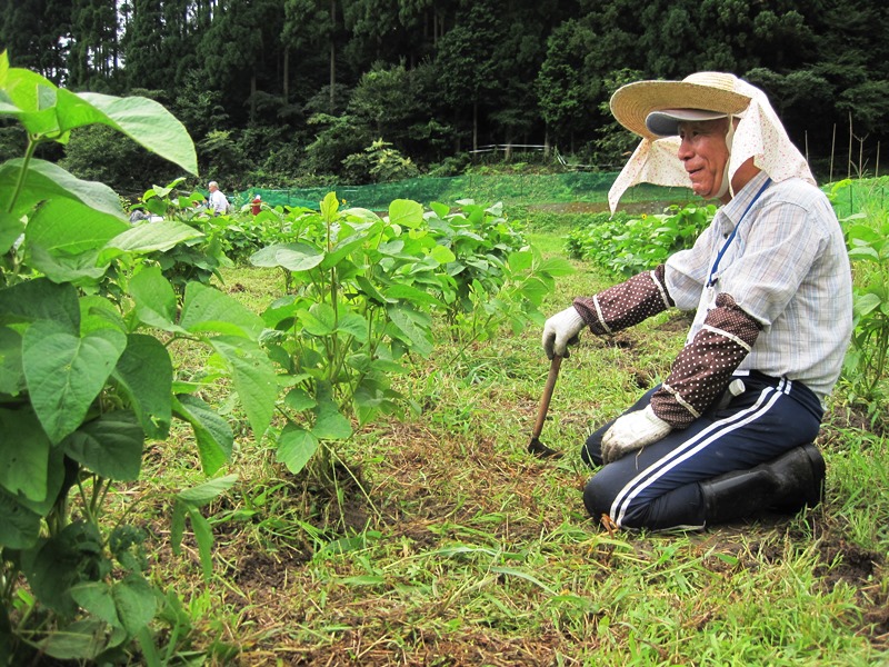 屋住地区活動その3