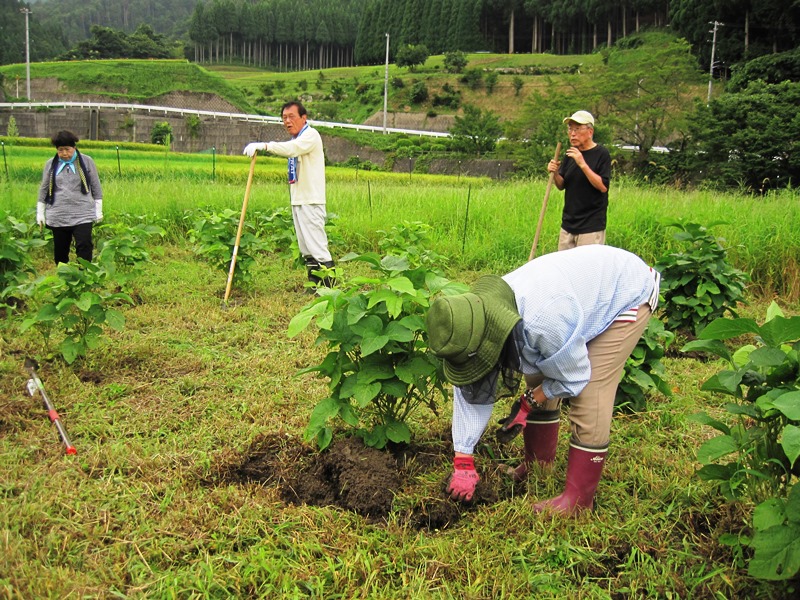 屋住地区活動その4