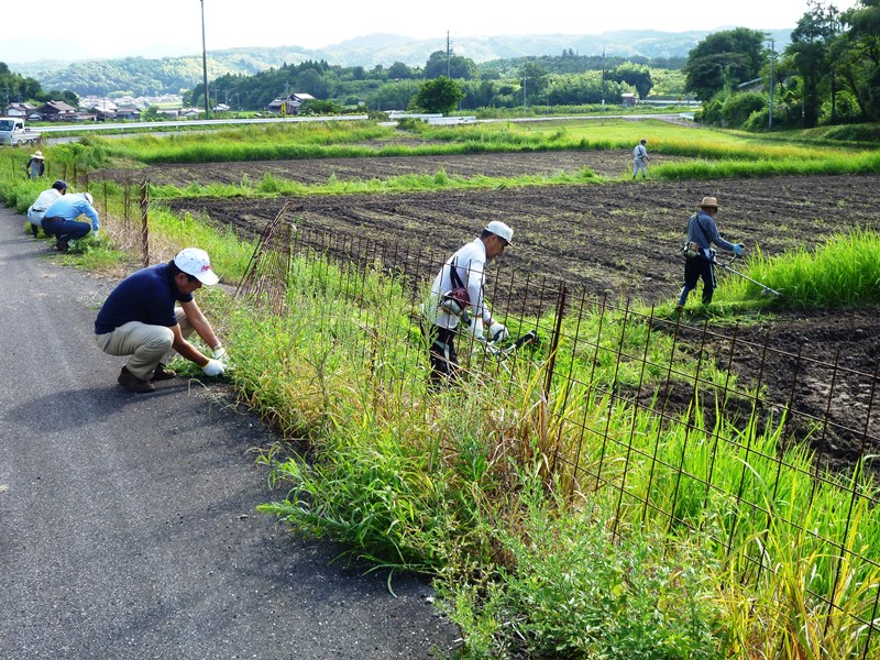 あいみ富有の里地区活動その2