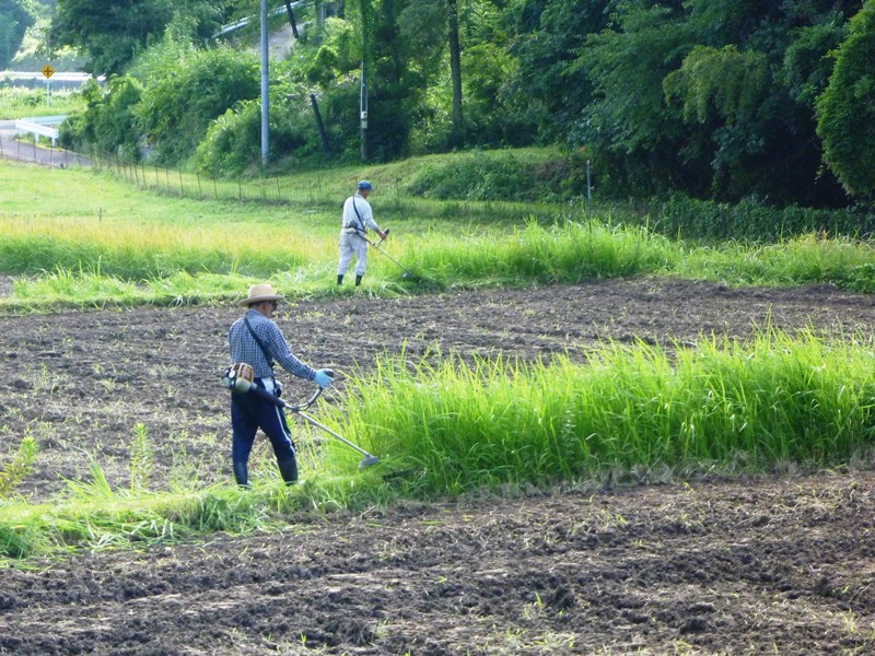 あいみ富有の里地区活動その3