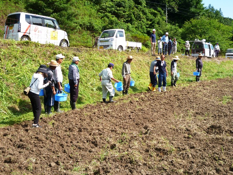 あいみ富有の里地区活動その4