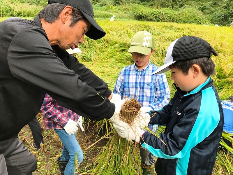 福園地区の活動状況その3