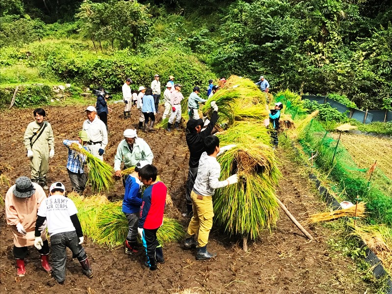 福園地区の活動状況その7