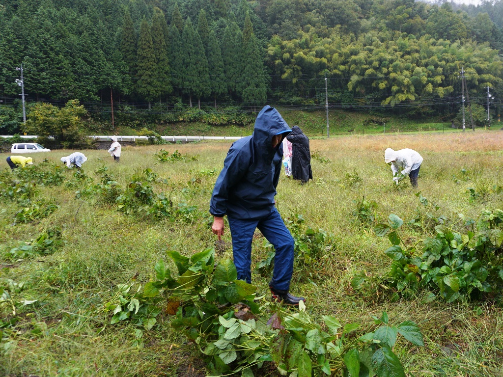 屋住地区の活動その3