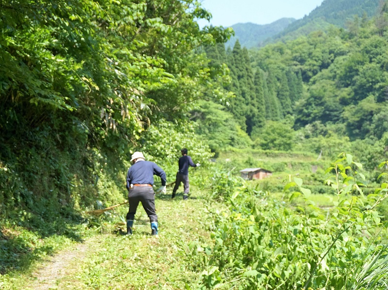 草刈り作業