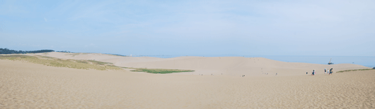 「馬の背」の風景－くもりの砂丘