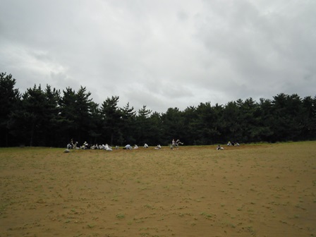 全景