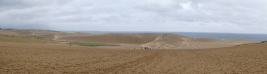 「馬の背」の風景－ゼブラ模様できてます