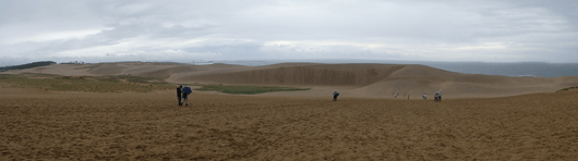 「馬の背」の風景－風が強いです