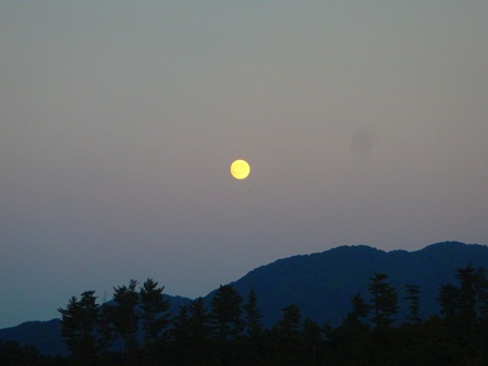 写真３